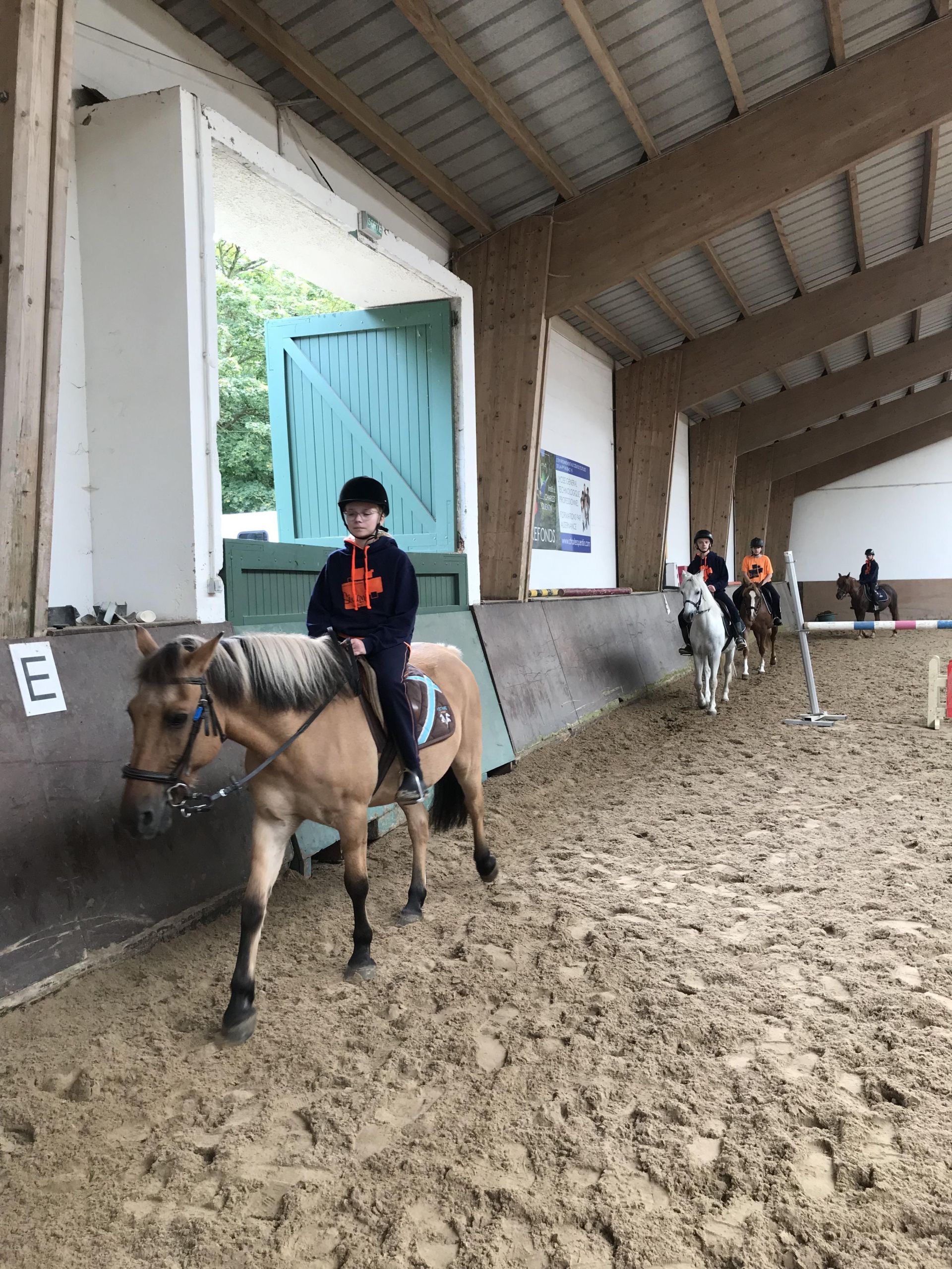 équitation